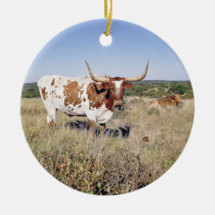 Texas Longhornavel (fotoet) Julgransprydnad Keramik