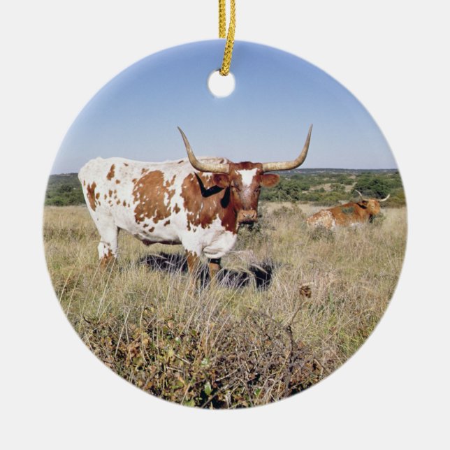 Texas Longhornavel (fotoet) Julgransprydnad Keramik (Framsidan)