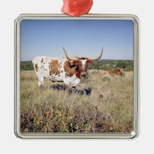 Texas Longhornavel (fotoet) Julgransprydnad Metall