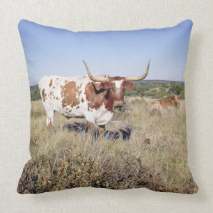Texas Longhornavel (fotoet) Kudde
