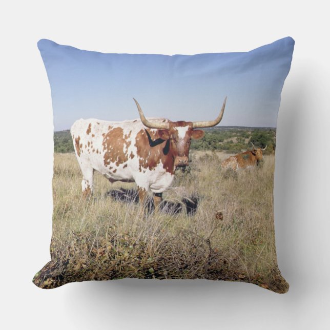Texas Longhornavel (fotoet) Kudde (Framsida)