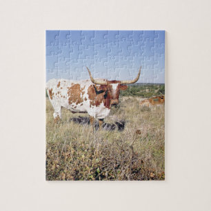 Texas Longhornavel (fotoet) Pussel