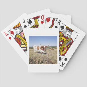 Texas Longhornavel (fotoet) Spel Kort