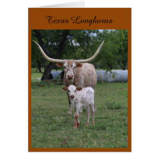 Texas Longhorns Hälsningskort