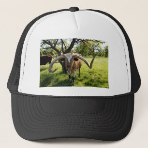 Texas Longhorntjur Keps