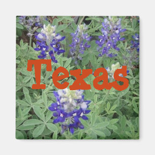 Texas magnet