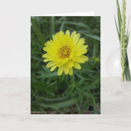Texas maskros Notecards (tom insida) Kort