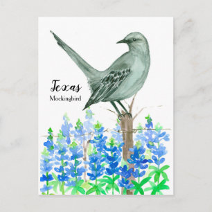 Texas Mockingbird Bluebonnet Watercolor Vykort