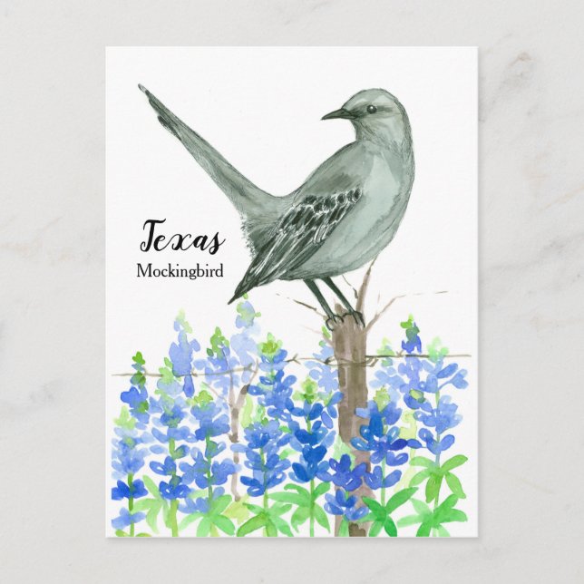 Texas Mockingbird Bluebonnet Watercolor Vykort (Framsida)