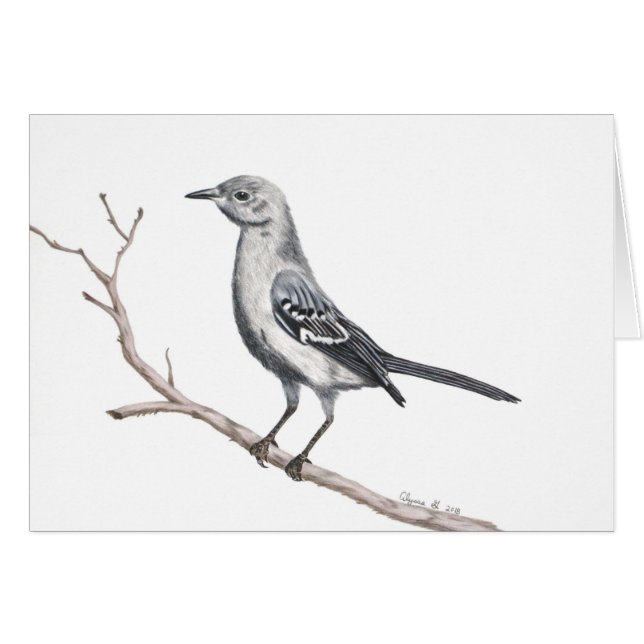 Texas Mockingbird-inspirationskort, litet OBS Kort (Framsidan Horizontal)