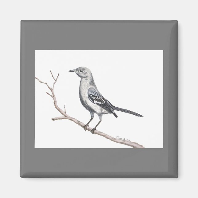 Texas Mockingbird Magnet (Framsidan)