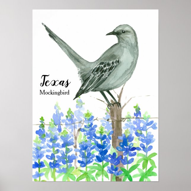 Texas Mockingbird Poster (Framsidan)
