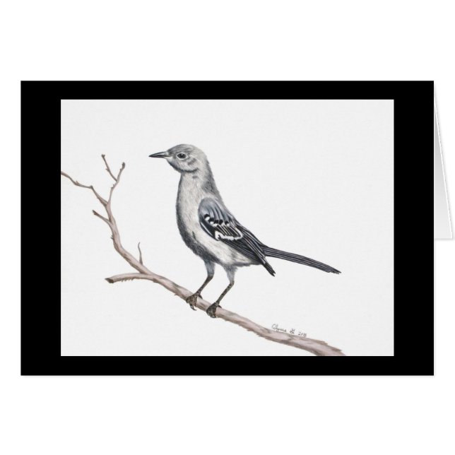 Texas Mockingbird Small Card OBS Kort (Framsidan Horizontal)
