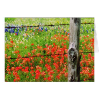 Texas Paintbrush bakom Barbed WIre Fence Hälsningskort