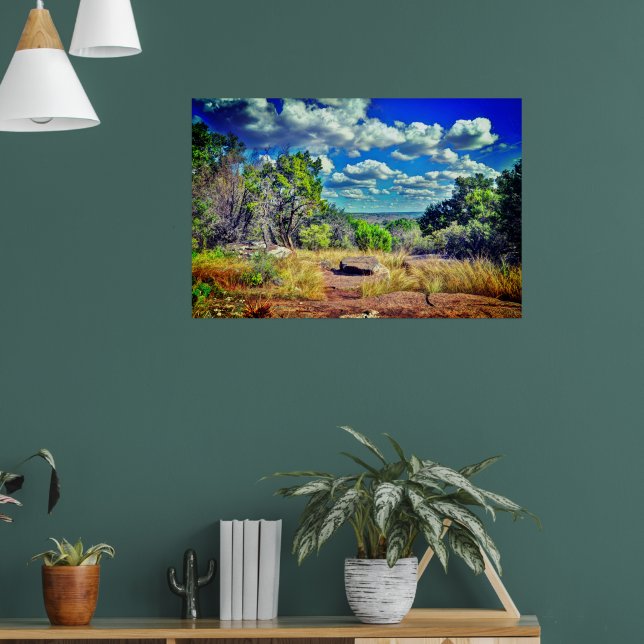 Texas  poster (Vardagsrum 1)