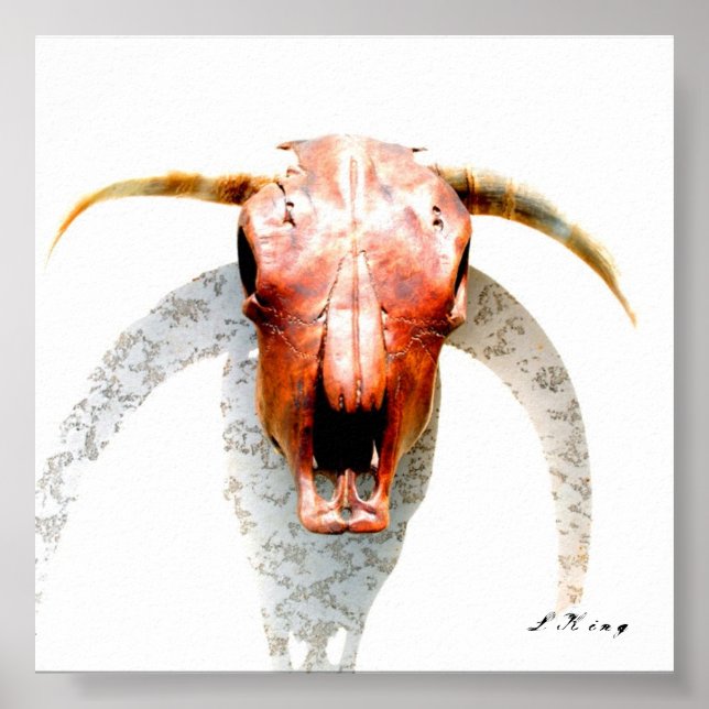 Texas Poster (Framsidan)