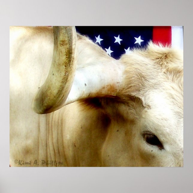 Texas Proud Poster (Framsidan)