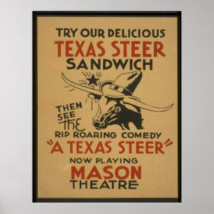Texas råd poster