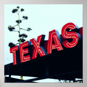 Texas Red Neon Ljus USA Poster
