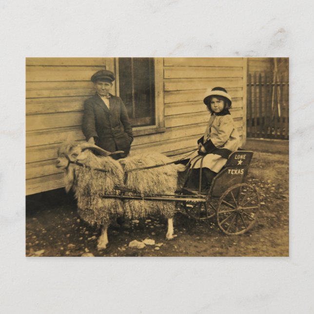 Texas Ride Vykort (Framsida)