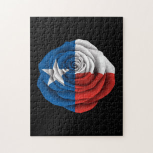 Texas roflagga på svart pussel