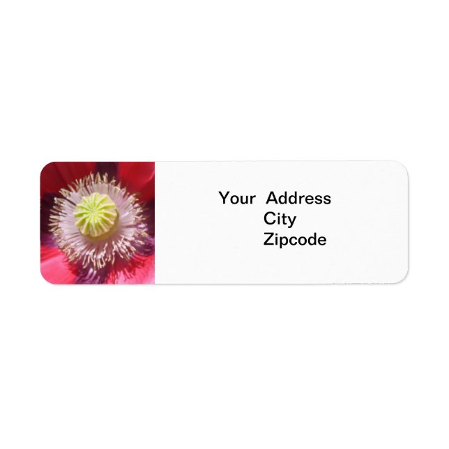 Texas Rosa Skullcap-adressetikett Returadress Etikett (Framsidan)