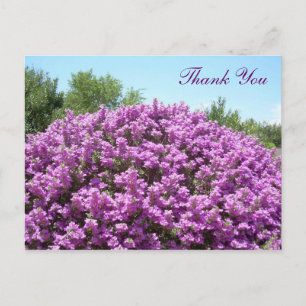 Texas Sage Tack Postcard Vykort