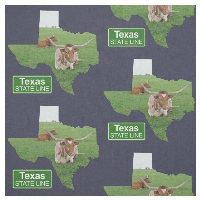Texas Shape with Longhorn Steer State Line Sign 4 Tyg (Provkarta)