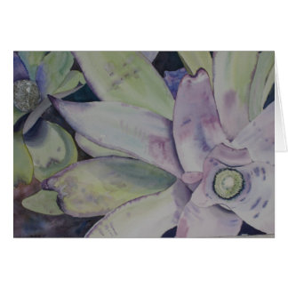 Texas skönhetkort OBS kort