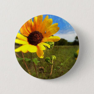 Texas solrosor av Jill Knapp