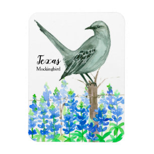 Texas Souvenir Bluebonnets Flowers Mockingbird Magnet