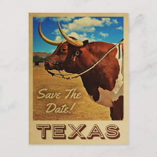 Texas Spara datum Vintagen Land Western Meddelande Vykort