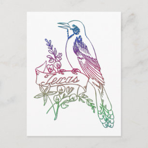 Texas State Bird - Mockingbird Vykort