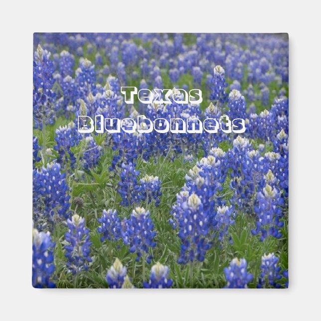 Texas State Flower Bluebonnet Magnet (Framsidan)