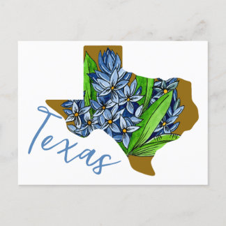 Texas State Flower Vykort