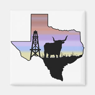 Texas State Magnet