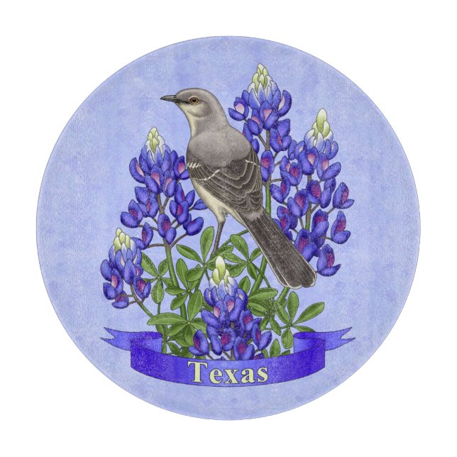 Texas State Mockingbird & Bluebonnet Flower (Framsidan)