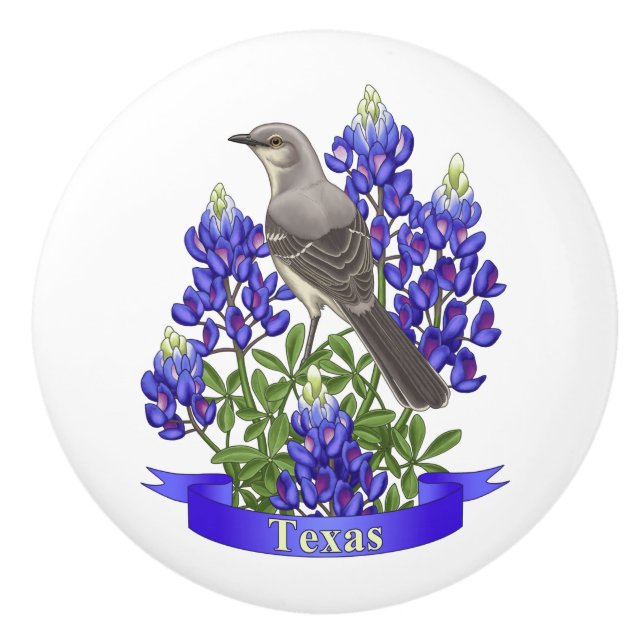 Texas State Mockingbird & Bluebonnet Flower Knopp (Framsidan)