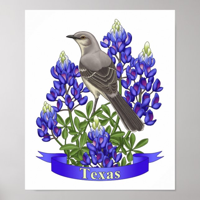 Texas State Mockingbird & Bluebonnet Flower Poster (Framsidan)
