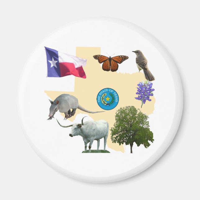 Texas State Symbols Magnet (Framsidan)