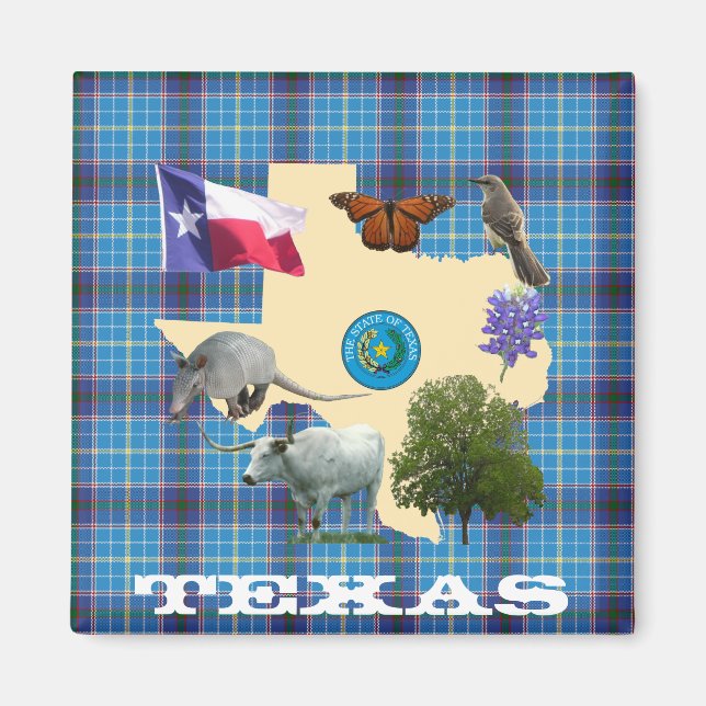 Texas State Symbols Magnet (Framsidan)