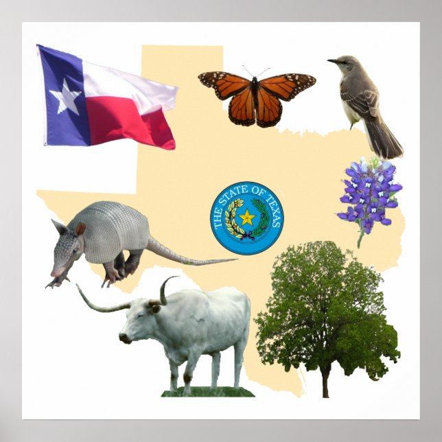 Texas State Symbols Poster (Framsidan)
