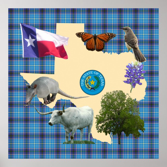 Texas State Symbols Poster (Framsidan)