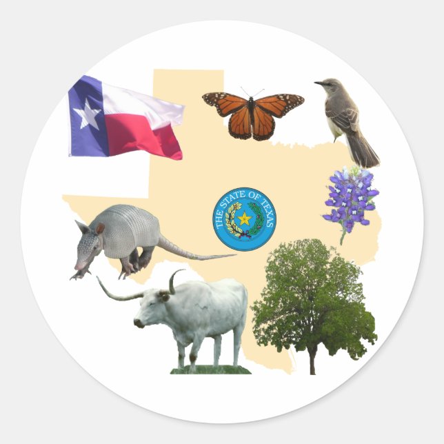 Texas State Symbols Runt Klistermärke (Framsida)