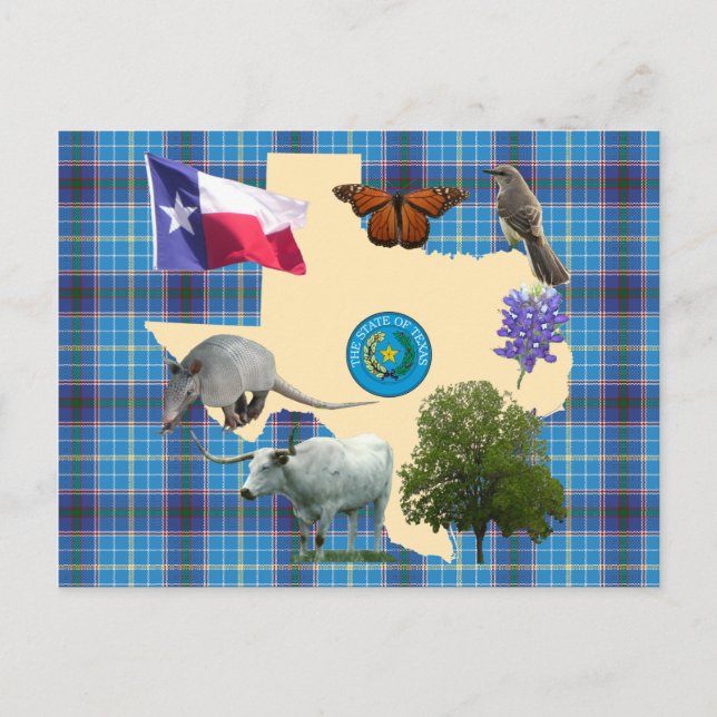Texas State Symbols Vykort (Framsida)