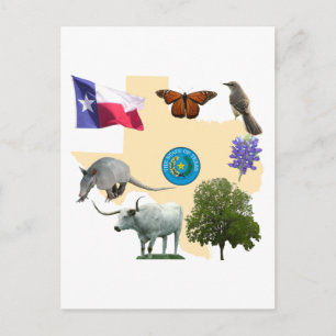 Texas State Symbols Vykort