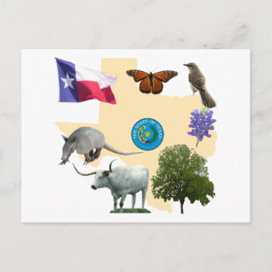 Texas State Symbols Vykort