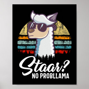 Texas State Test Day Llama Alpaca for Studenter Gi Poster