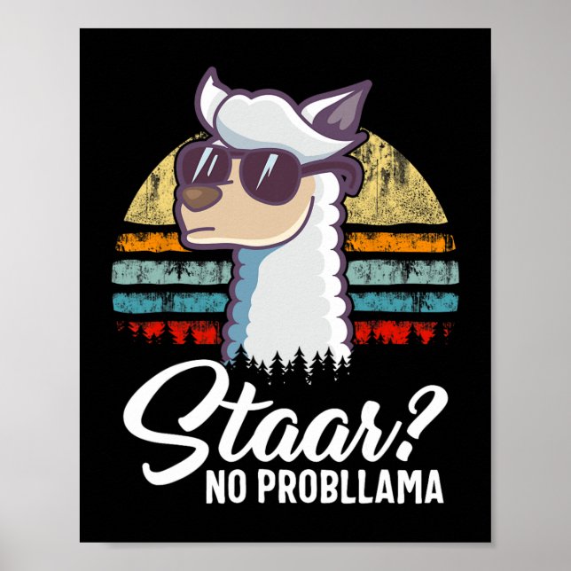 Texas State Test Day Llama Alpaca for Studenter Gi Poster (Framsidan)