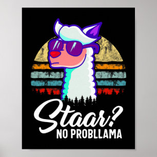Texas State Test Day Llama Alpaca för Studenter Poster